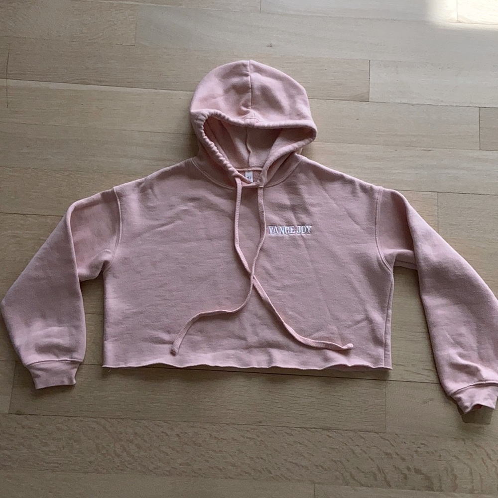 Vance Joy Tour Merchandise Cropped Hoodie